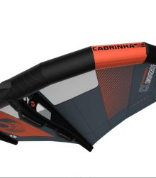 ala de wingfoil