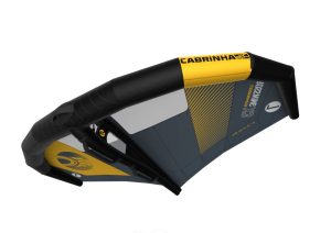 ala de wingfoil